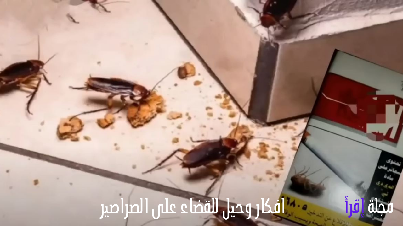 افكاروحيل للقضاء على الصراصيروالحشرات في المنزل